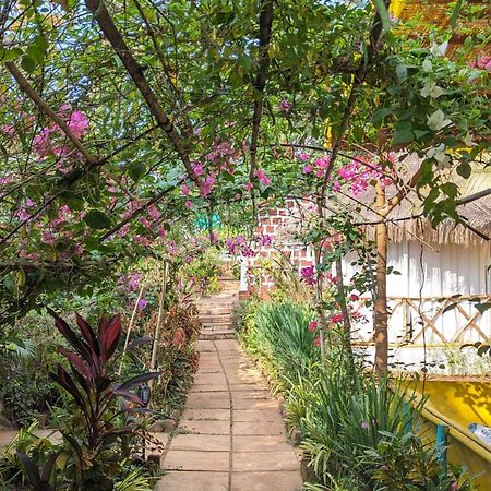 Hippie Paws Hotel Mandrem Bagian luar foto