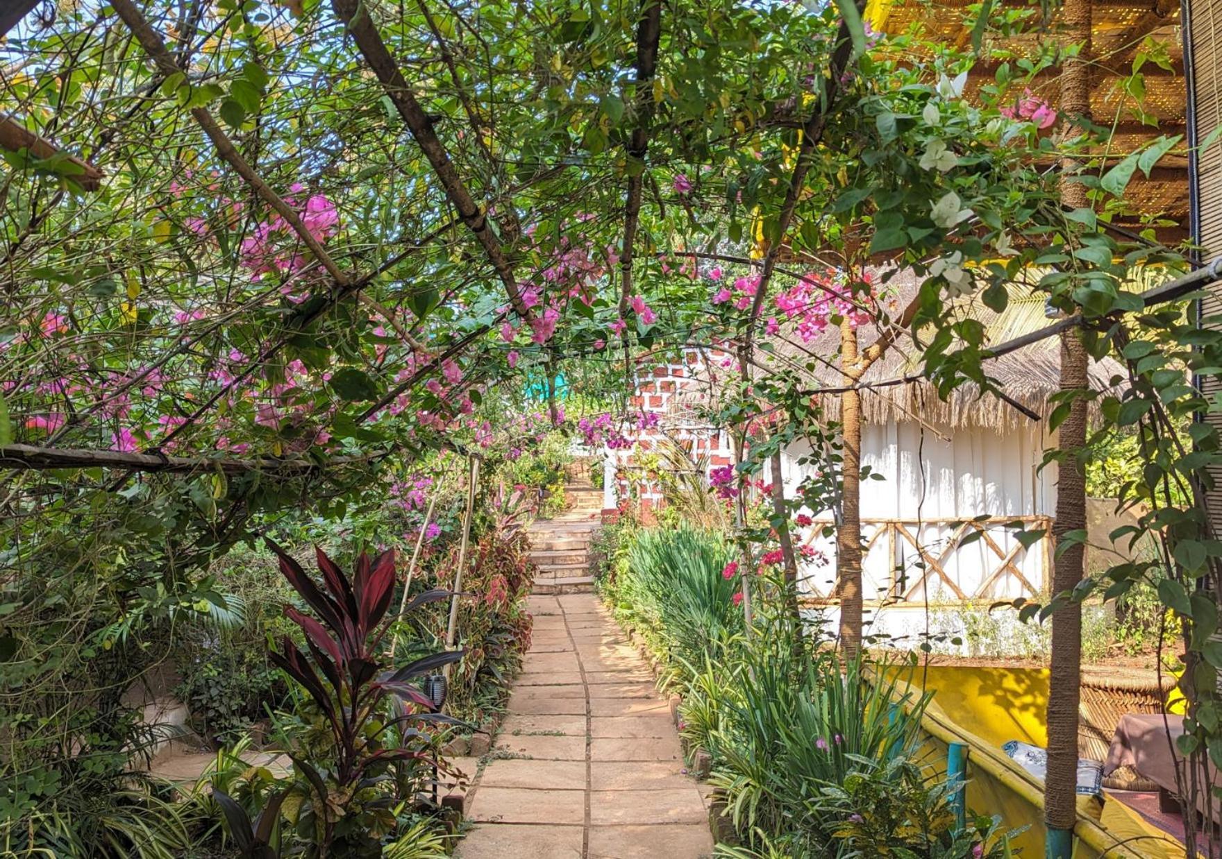 Hippie Paws Hotel Mandrem Bagian luar foto