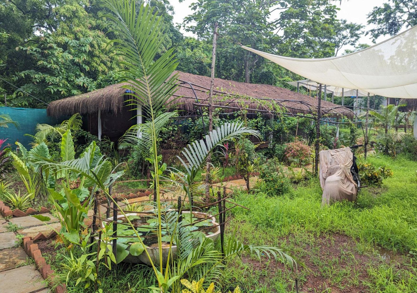 Hippie Paws Hotel Mandrem Bagian luar foto